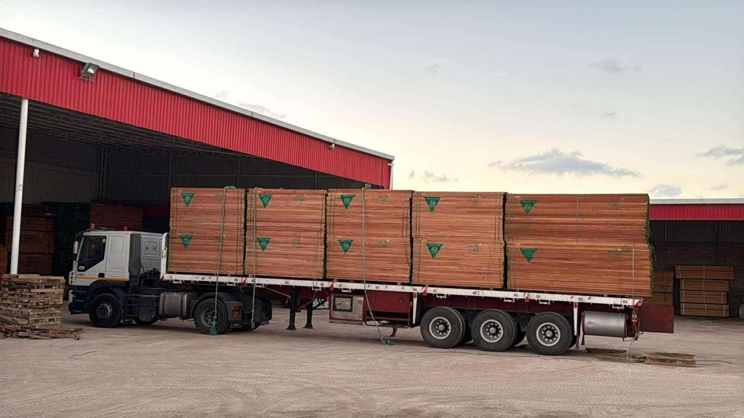 مشاريع استثمارية - شركة النخبة الأولى